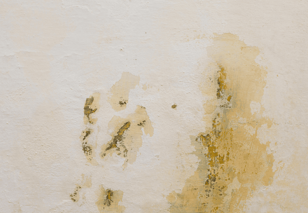 How to know if the roof is leaking